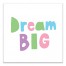Dream Big Wall Art