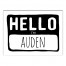 Name Tag 12x16 Personalized Canvas Wall Art