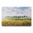 Painted Open Sky 27x18 Floor Mat