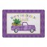 Mardi Gras Truck 27x18 Floor Mat