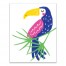 Colorful Toucan 11x14 Canvas Wall Art