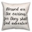Blessed Are The Curious 18x18 Spun Poly Pillow