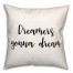 Dreamers Gonna Dream 18x18 Spun Poly Pillow