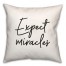 Expect  18x18 Spun Poly Pillow