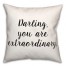 Extraordinary 2  18x18 Spun Poly Pillow