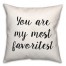 Favorite  18x18 Spun Poly Pillow