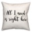 Need  18x18 Spun Poly Pillow