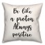 Proton  18x18 Spun Poly Pillow