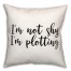 Shy  18x18 Spun Poly Pillow