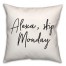 Skip Monday  18x18 Spun Poly Pillow