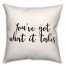 Takes  18x18 Spun Poly Pillow