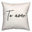 Te Amo  18x18 Spun Poly Pillow