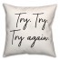 Try Try Try Again  18x18 Spun Poly Pillow