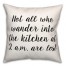 Wander  18x18 Spun Poly Pillow