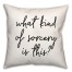 What Kind Of Sorcery  18x18 Spun Poly Pillow