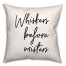 Whiskers Before Misters  18x18 Spun Poly Pillow