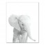Baby Elephant Wall Art