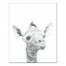 Baby Giraffe Wall Art