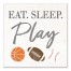 Eat Sleep Play Sports Wall Art