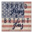 Broad Stripes Bright Stars 16x16 Canvas Wall Art