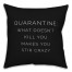 Stir Crazy 18x18 Spun Poly Pillow