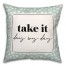Take It Day By Day 18x18 Spun Poly Pillow