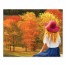Fashion Girl Overlooking Fall Landscape 8x10 Tabletop Canvas