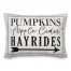 Pumpkins Apple Cider Hayrides with Arrow 14x20 Spun Poly Pillow