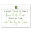 Green Four Leaf Clover Friend 16x20 Canvas Wall Art