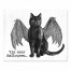 Tis Near Halloween Vampire Cat 8x10 Tabletop Canvas