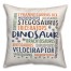Dinosaur Types Blue Green and Orange 18x18 Spun Poly Pillow