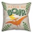 Watch Me Soar Dinosaur 18x18 Spun Poly Pillow