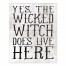 The Wicked Witch Lives Here 8x10 Tabletop Canvas
