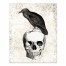 Raven with Skull 8x10 Tabletop Canvas