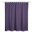 Skull and Crossbones Pattern 71x74 Shower Curtain