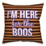 Here for the Boos Orange and Purple 18x18 Spun Poly Pillow