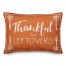 Thankful for Leftovers 14x20 Spun Poly Pillow