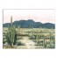 Painted Desert Landscape 30x40 Canvas Wall Art