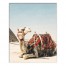 Boho Camel with Distressing 24x30 Canvas Wall Art