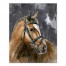 Mono Stoic Horse 16x20 Canvas Wall Art