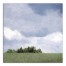 Simple Grassy Landscape 20x20 Canvas Wall Art