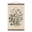 Vintage Butterfly Diagram 12x18 Teak Hanging Canvas
