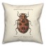 Vintage Ladybug Diagram 18x18 Spun Poly Pillow