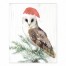 Santa Watercolor Owl 8x10 Tabletop Canvas