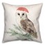 Santa Watercolor Owl 18x18 Spun Poly Pillow