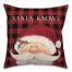 Santa Knows on Plaid 18x18 Spun Poly Pillow