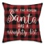 Santa Naughty List 18x18 Spun Poly Pillow