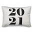 2021 Speckles 14x20 Spun Poly Pillow