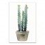 Watercolor Potted Cactus 12x18 Canvas Wall Art