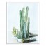 Watercolor Cactus 16x20 Canvas Wall Art